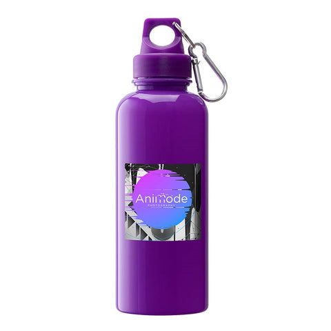 Brio 20 oz. PS Water Bottle w/ Carabiner