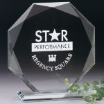 Custom Omni Award 8-1/2"