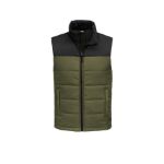 The North Face Everyday Insulated Vest. NF0A529A Burnt Olive Gn
