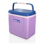 RTIC 8 QT Road Trip Personal Cooler Snowy Peak